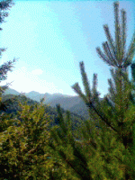 Фото1112.gif