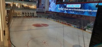 20220926_184534.jpg