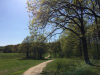 2020-05-11 15-24-16.JPG