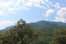 IMG_4832.JPG