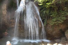IMG_4894.JPG