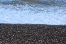 IMG_5894.JPG