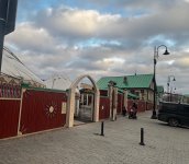 IMG_1116.jpg