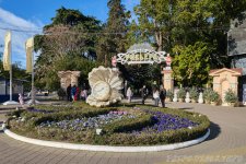 park-rivera-v-sochi_1-1200x800.jpg