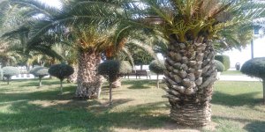 IMG_20231008_162117.jpg