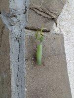 IMG_20220813_191931.jpg