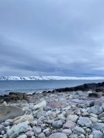 IMG_7101.JPEG