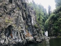 IMG_7346.jpg