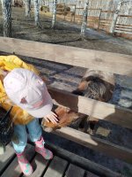 IMG_20240407_105318.jpg