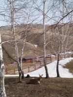 IMG_20240407_110150.jpg