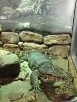 IMG_20220728_135452.jpg
