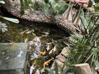 IMG_9005.jpeg