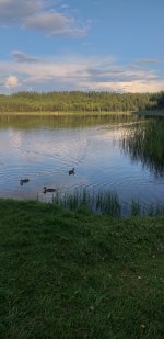 20240814_191550.jpg