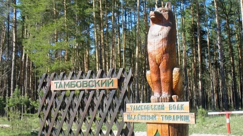 Скидка 40%. Перелет из Москвы в Тамбов за 2 035р. в одну сторону