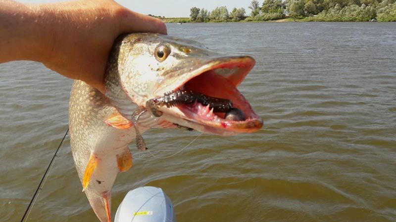 Рыбалка на Каспийском море. Перелет из Москвы в Астрахань за 6 948р. туда-обратно