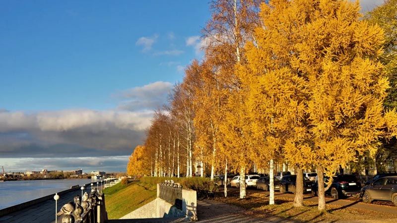 Последние 3 билета. Перелет из Москвы в Архангельск за 2 375р. в одну сторону