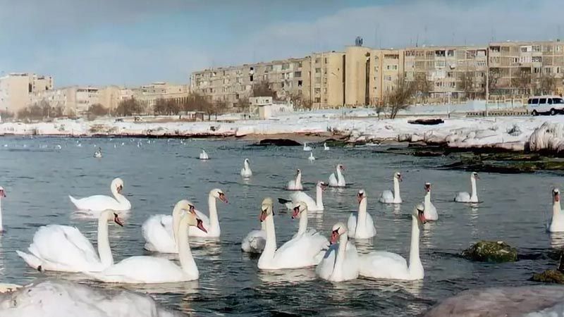 Недорого в Казахстан. Перелет из Москвы в Актау за 13 829р. туда-обратно