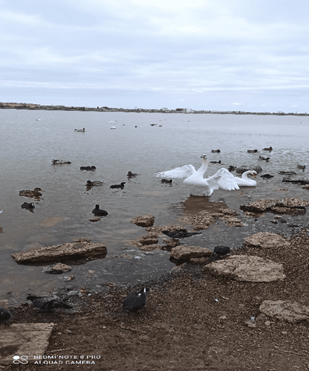 Наша поездка в Саки