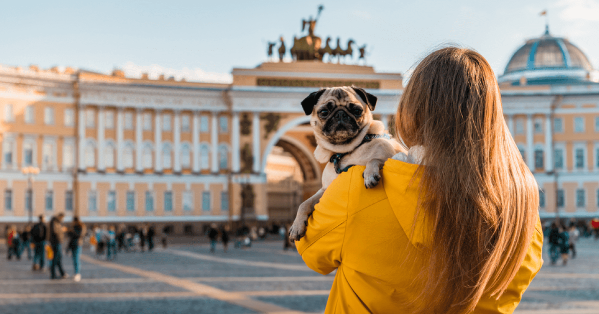 В Петербурге начнут взимать плату с туристов
